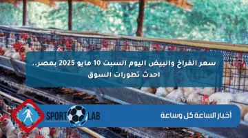 سعر الفراخ والبيض اليوم السبت 10 مايو 2025 بمصر.. أحدث تطورات السوق